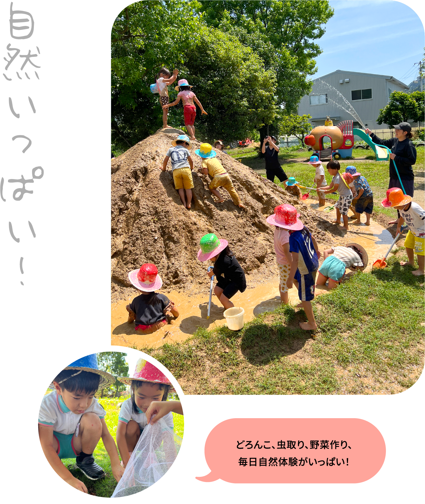 自然いっぱい！