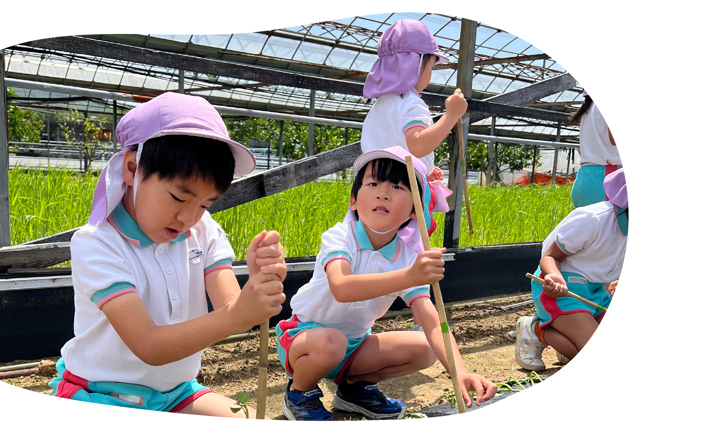 保育・教育目標