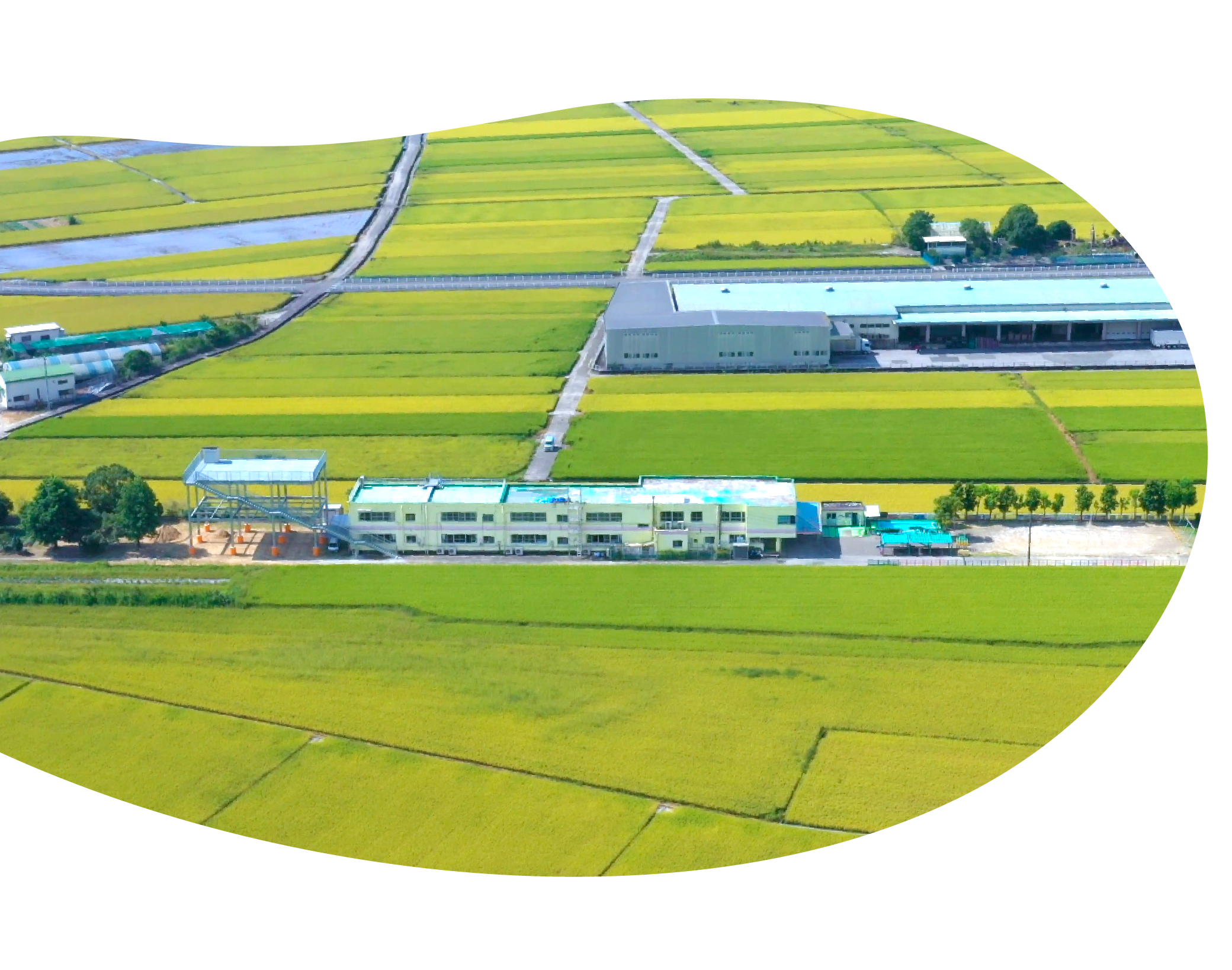 園マップ